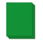 Image of the product Astroturf Green Chalkboard Paper - 10 Sheets